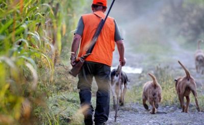 Battues de chasse 2025-2026